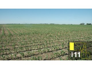 Property photo 53 - Land Auction 458+/- acres in 11 Tracts - Farmland, Woods
